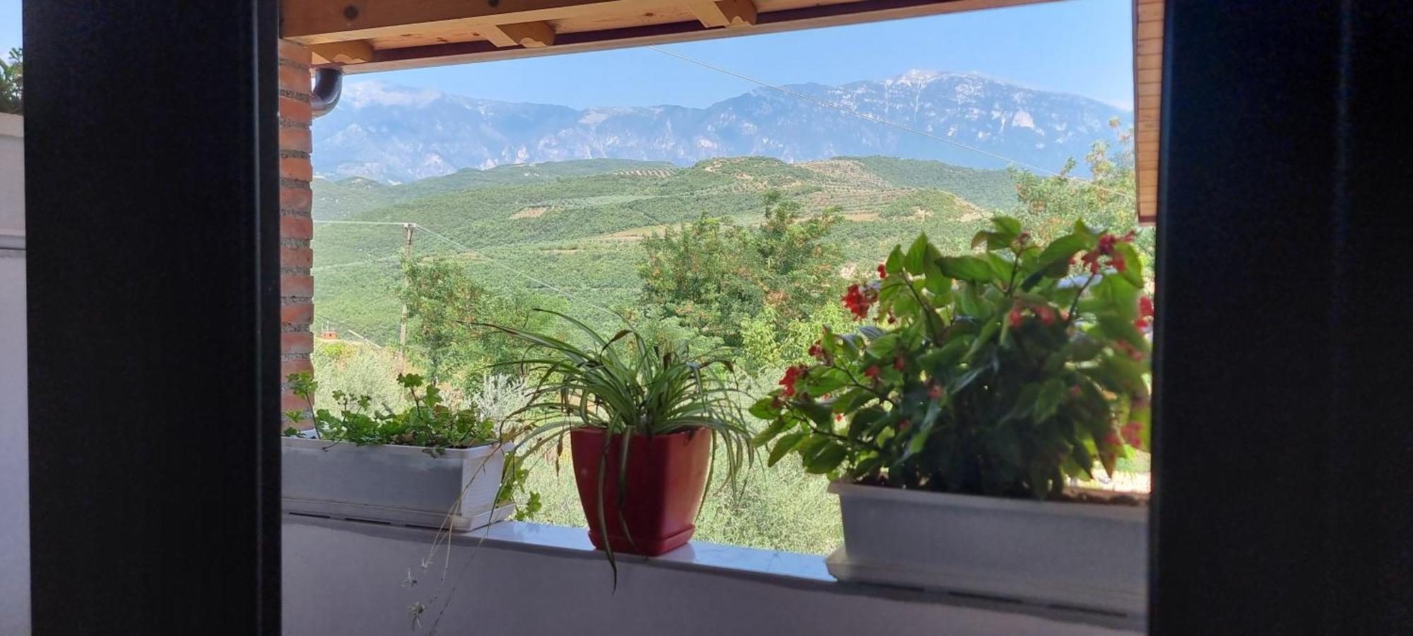 Salillari Guest House Berat Extérieur photo